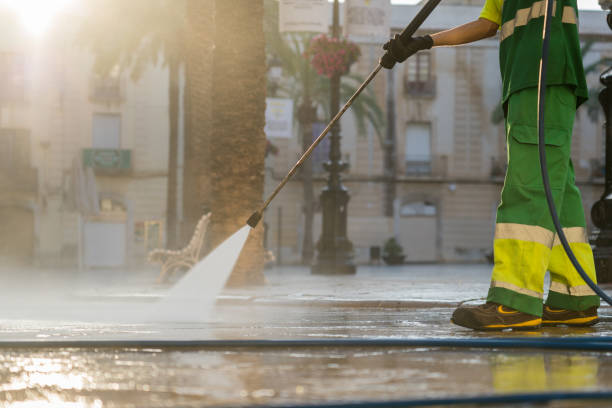 Best Deck Cleaning Services  in Trevorton, PA